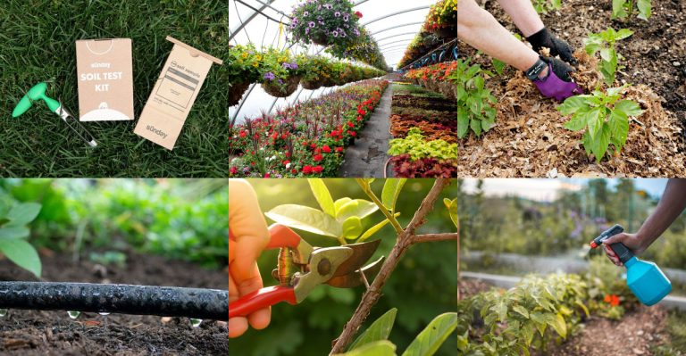 16 Things You Should Do Now to Prepare Your Garden for Summer
