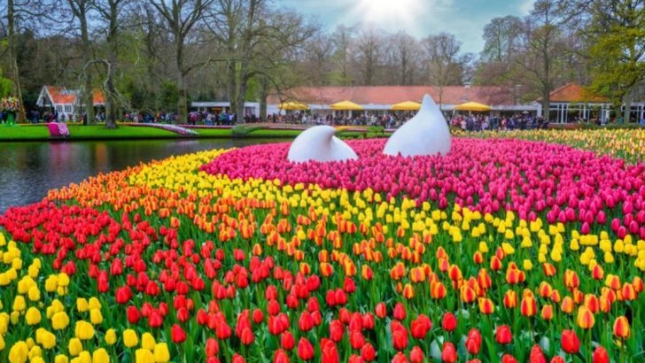 16 Backyard Pond Ideas Inspired by Europe’s Historic Gardens