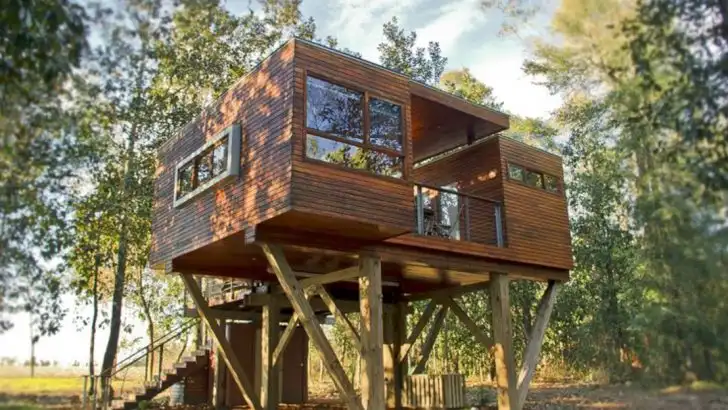 16 Brilliant Backyard Ideas Inspired by Nature Itself