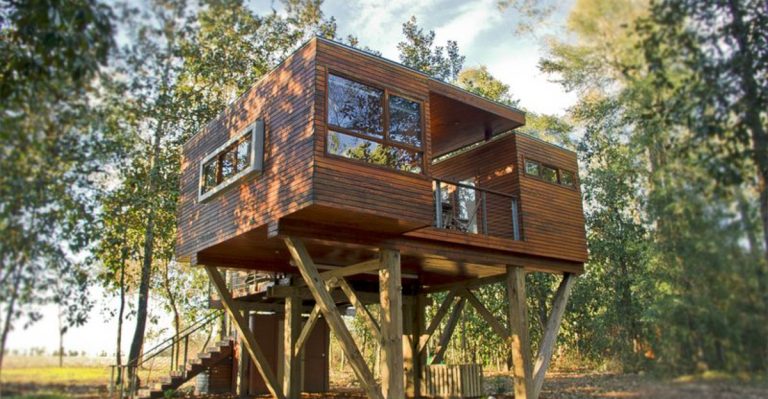 16 Brilliant Backyard Ideas Inspired by Nature Itself