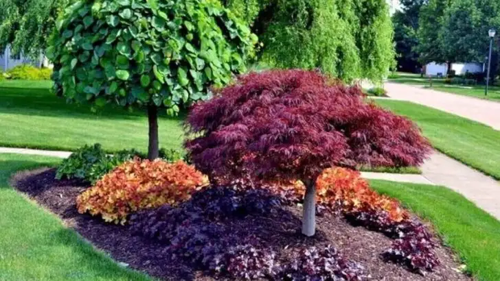16 Compact Trees That Work in the Smallest Backyards