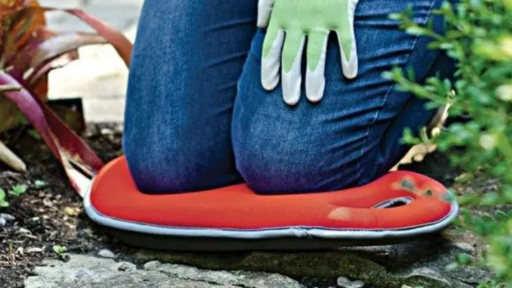 16 Essential Tools Every New Gardener Should Have