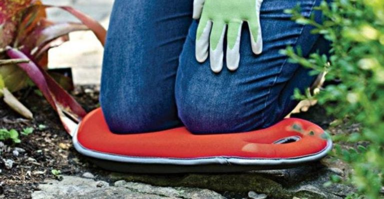 16 Essential Tools Every New Gardener Should Have