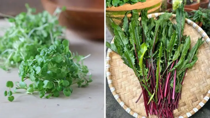 16 Lesser-Known Greens That Pack More Nutrients Than Lettuce