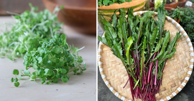 16 Lesser-Known Greens That Pack More Nutrients Than Lettuce