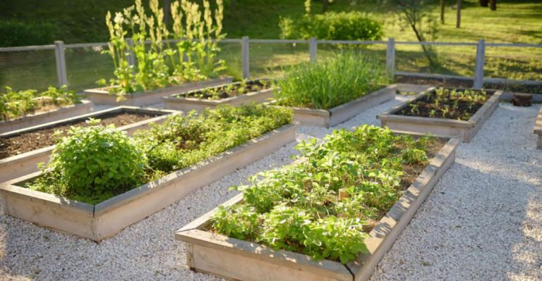 16 Relaxing Gardening Ideas for Anyone Starting Fresh After Retirement