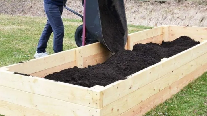 16 Spring Chores That Pay Off Most in July and August