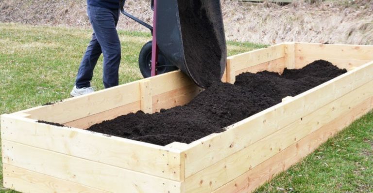 16 Spring Chores That Pay Off Most in July and August