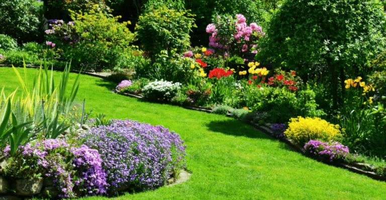 17 Spring Gardening Tasks You’ll Regret Skipping in Summer