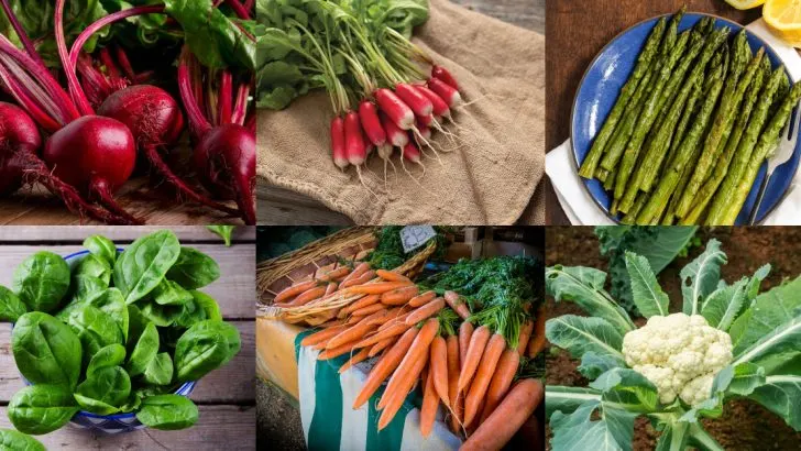 17 Spring Vegetables That Disappoint and What to Plant Instead