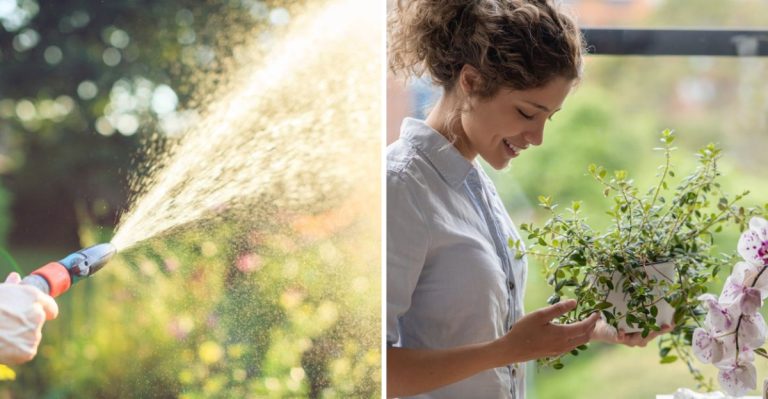 17 Gardening Myths That Refuse to Die (But Are Totally Wrong)