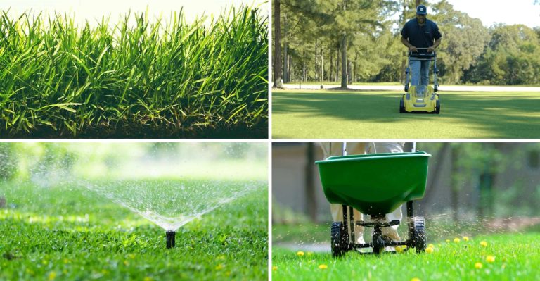 17 Lawn Care Tips Borrowed from Professional Golf Course