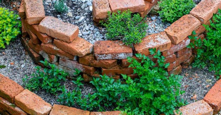 17 Simple Container Garden Ideas from Top U.S. Public Gardens