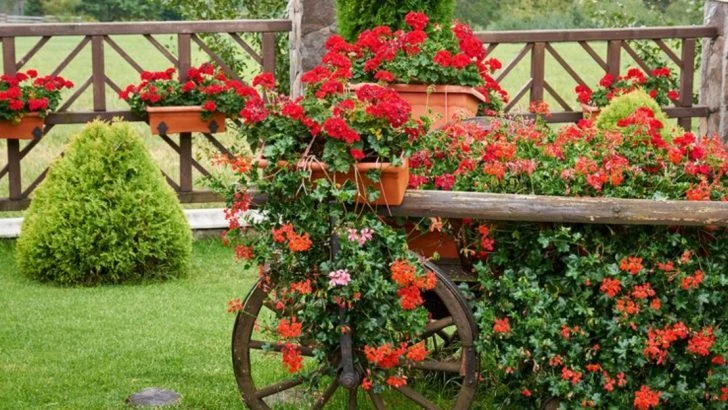 17 Single-Color Garden Ideas That Prove Less Can Be More