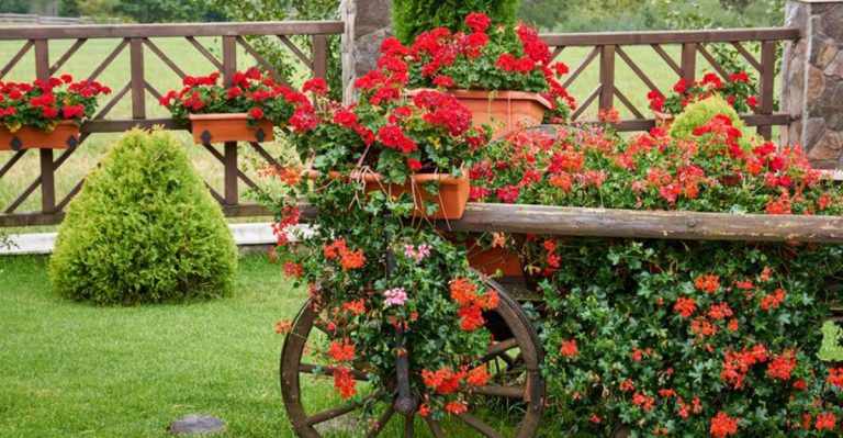 17 Single-Color Garden Ideas That Prove Less Can Be More