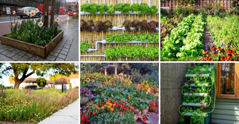 17 Subversive Gardening Trends Challenging Traditional Landscapes