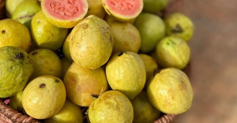17 Tropical Fruits You Can Grow in Florida—Even in Small Backyards