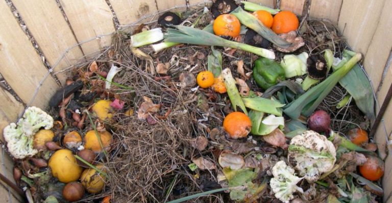 17 Ways to Practice Eco-Friendly Gardening Without Going Full Homestead