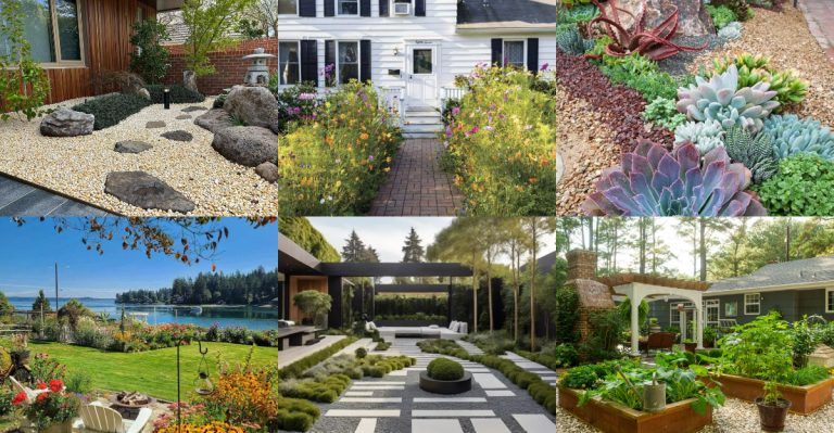18 Front Yard Layouts That Look Great Without Any Fence or Border