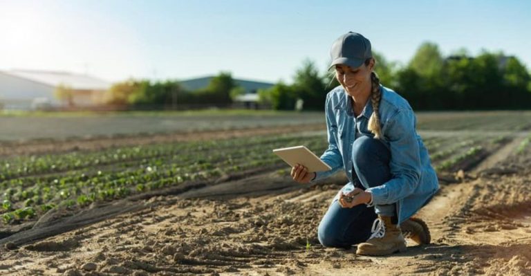 18 Myths and Facts About Dryland Farming Explained