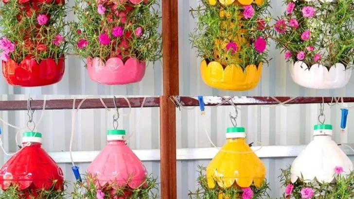 18 Creative Vertical Garden Ideas for Indoors and Outdoors