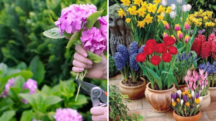 18 Things Smart Gardeners Always Do in April