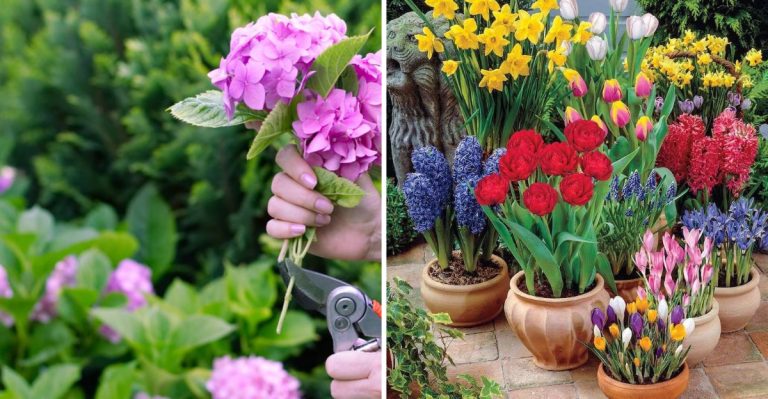 18 Things Smart Gardeners Always Do in April
