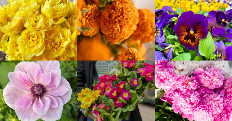 20 Flowers That Are Perfect For An Easter Floral Arrangement