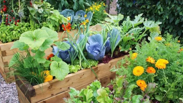 20 Gardening Shortcuts That Actually Work