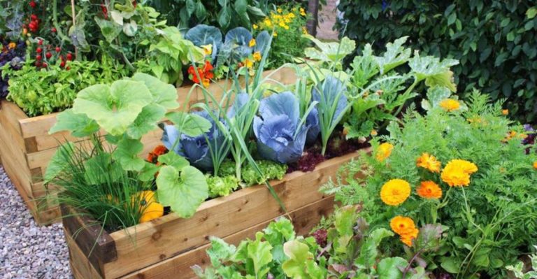 20 Gardening Shortcuts That Actually Work