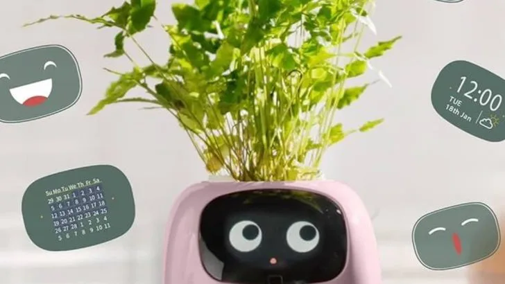 20 Indoor Gardening Trends That Are Taking Over 2025