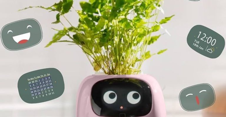 20 Indoor Gardening Trends That Are Taking Over 2025