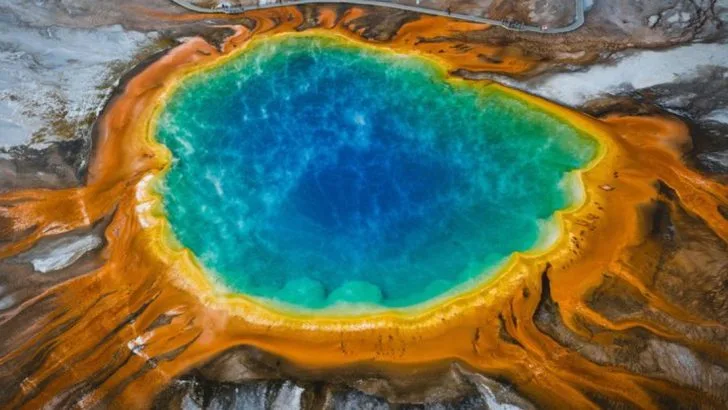 20 U.S. National Parks With the Richest Plant Life (and What Makes Them Special)