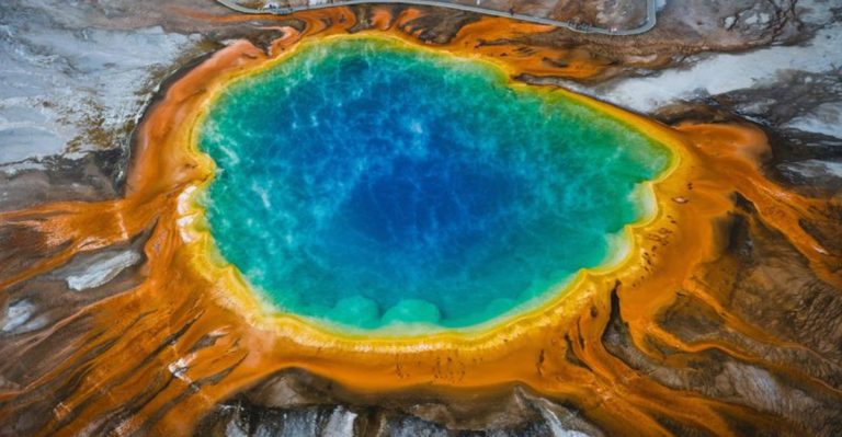 20 U.S. National Parks With the Richest Plant Life (and What Makes Them Special)