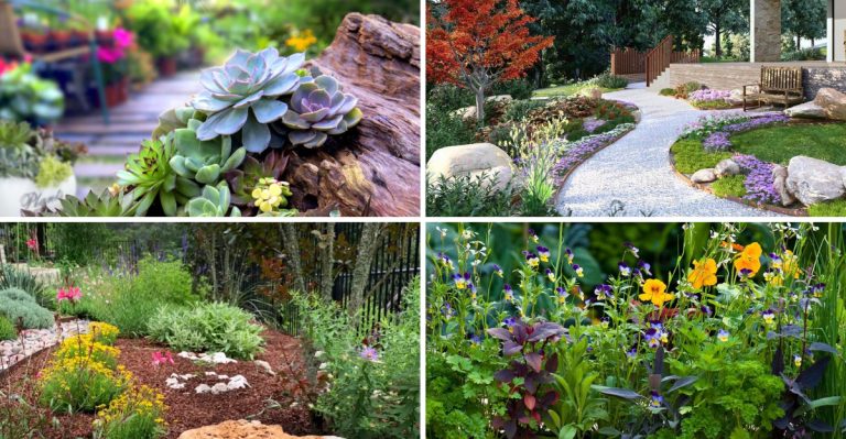 22 Low-Maintenance Landscaping Ideas for Busy Homeowners