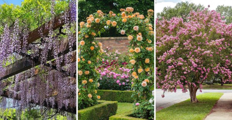 22 Natural Shade Ideas That Make Your Yard More Comfortable