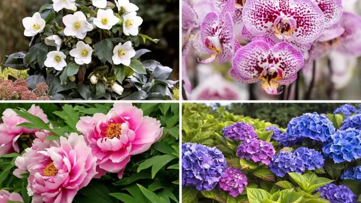 22 Plants People Steal from Public Gardens (Because They’re That Good)