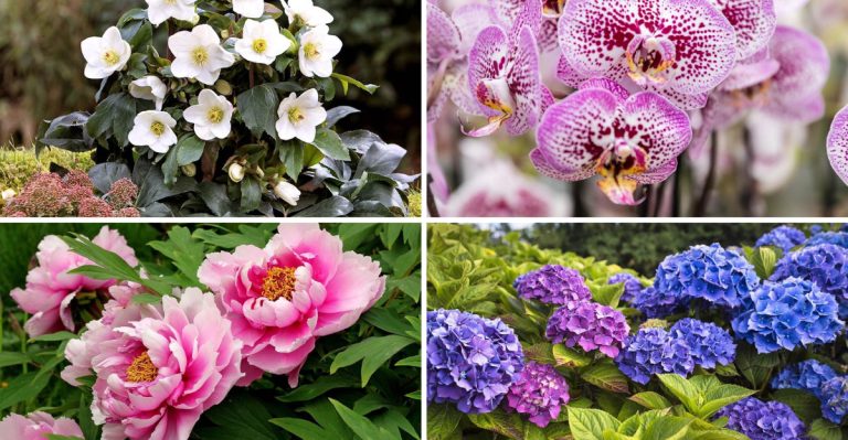 22 Plants People Steal from Public Gardens (Because They’re That Good)