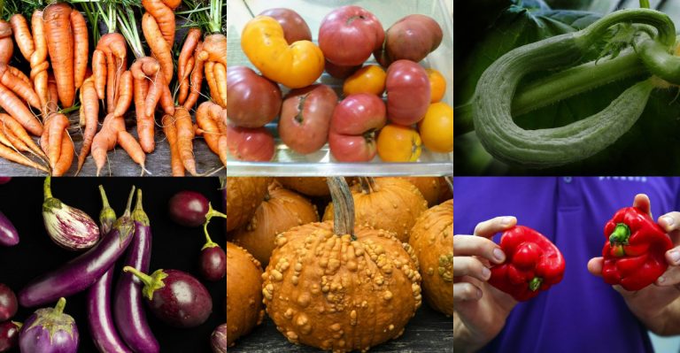 23 ‘Ugly’ Vegetables That Taste Better Than Their Supermarket Counterparts