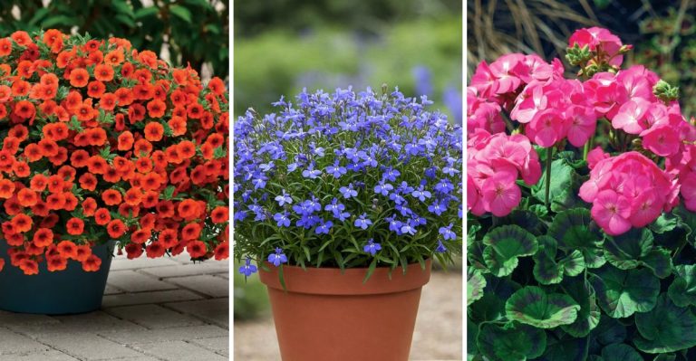 25 Flowers That Thrive in Hanging Baskets All Summer Long