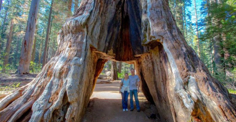 25 Iconic Plants You’ll Only Find in U.S. National Parks