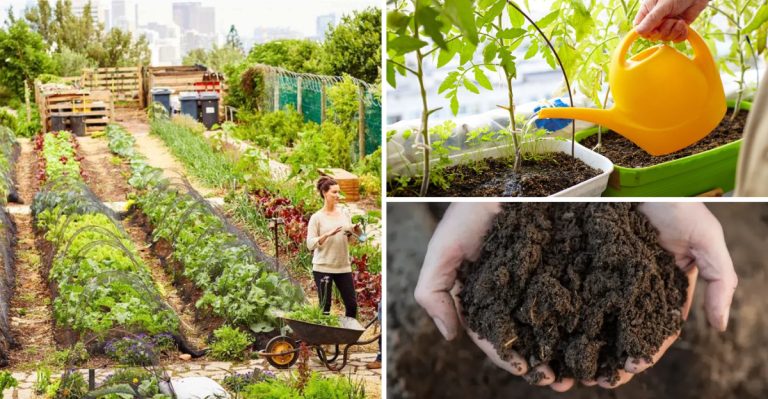 5 Raised Bed Mistakes Gardeners Make Every Spring (And 5 Fixes You Can Still Apply in April)