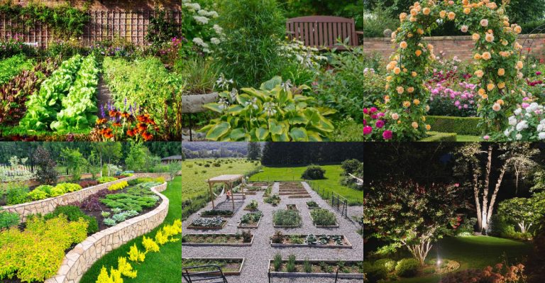 6 Garden Design Mistakes That Make Your Yard Look Smaller—and 6 Tips to Expand Its Beauty