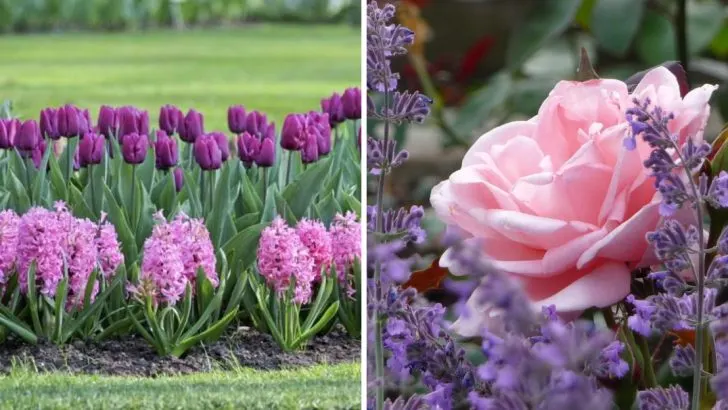 6 Flower Combinations That Clash—and 6 Pairings That Create Stunning Displays