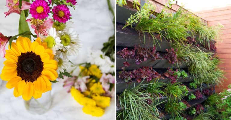 6 Popular Garden Hacks That Don’t Actually Work (+ 10 Tricks Gardeners Swear By)