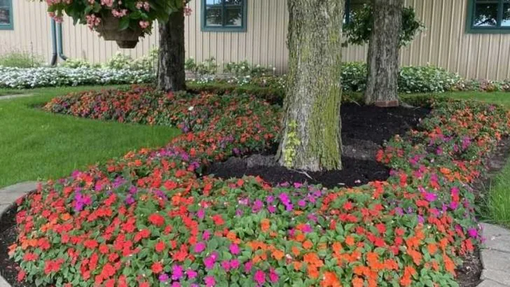 7 Annual Flowers I Stopped Planting That Made Space for 7 Reliable Perennials