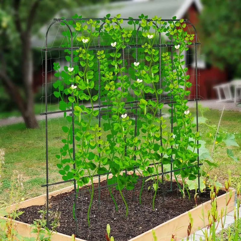 Flimsy Wire Frame