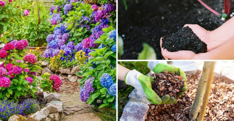 7 Landscaping Rules That Pros Live By (And the 7 Common Ones They Gladly Break)