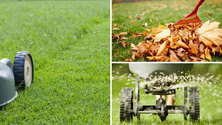 7 Things You Should Never Do to Your Lawn in April + 7 Tasks That Set It Up for Summer