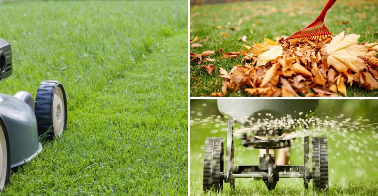 7 Things You Should Never Do to Your Lawn in April + 7 Tasks That Set It Up for Summer